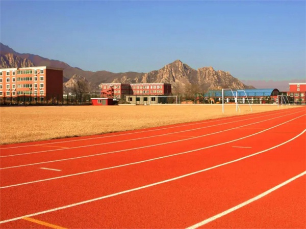 金昌市球场材料学校塑胶跑道 - 价格